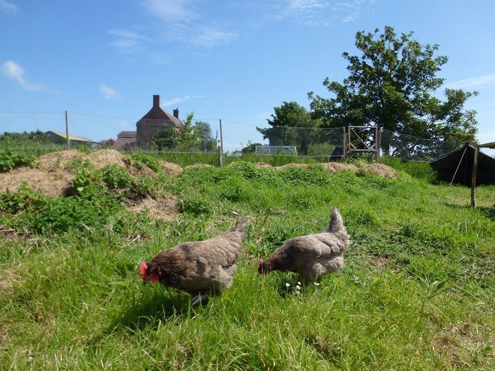 Manor Farm Stay Sutton-on-Sea Экстерьер фото